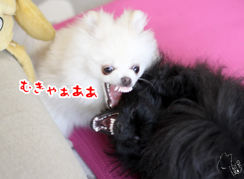 0518_7.jpg