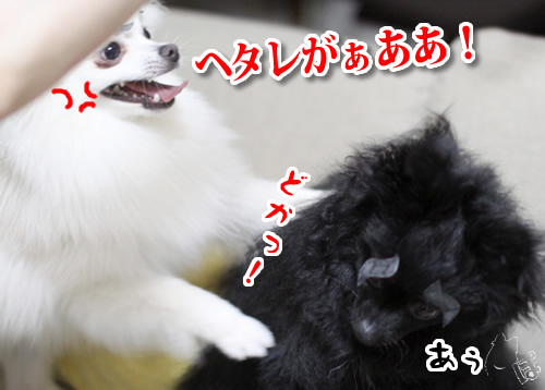0619_9.jpg