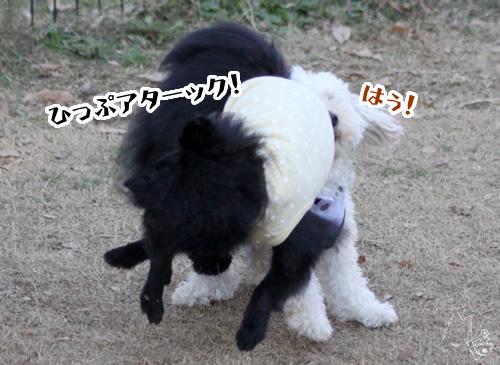 20111221_1775455.jpg