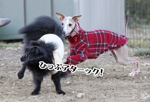 20111221_1775465.jpg