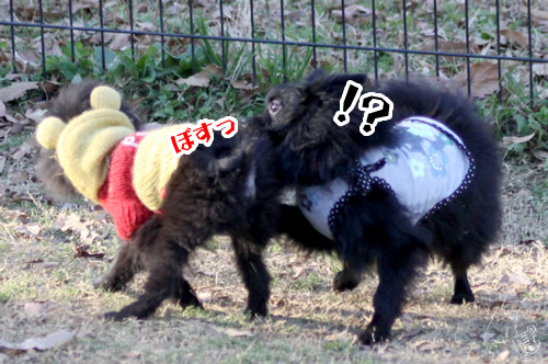 20111228_1790450.jpg
