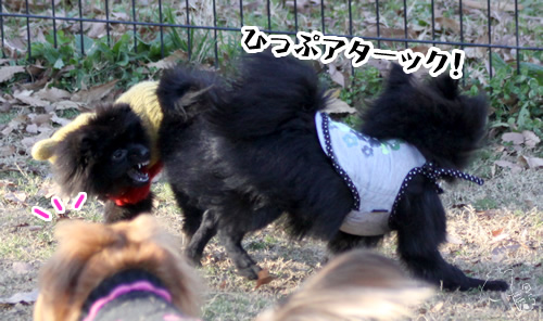 20111228_1790457.jpg