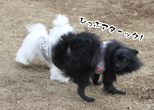 20120105_1806080.jpg