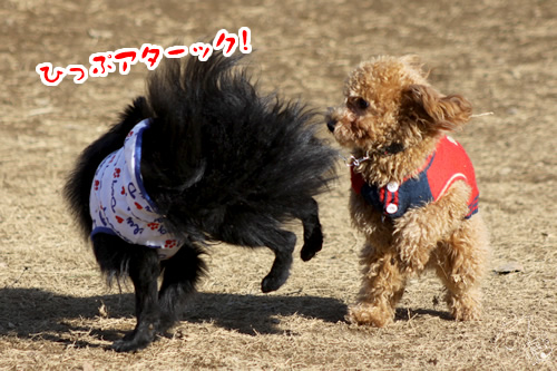 20120215_1893991.jpg