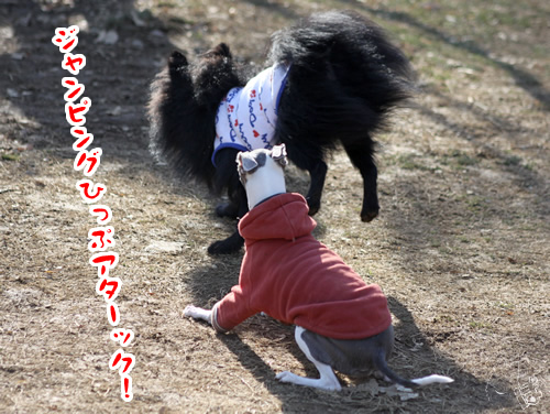 20120215_1893997.jpg