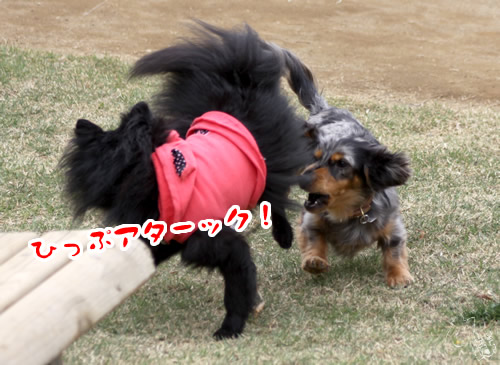 20120425_2065292.jpg