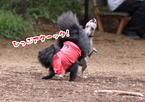 20120508_2101219.jpg