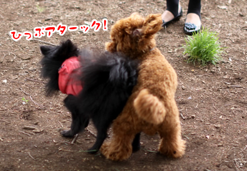 20120509_2104029.jpg