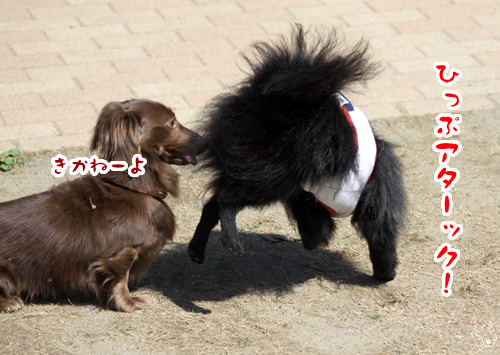 20120511_2113658.jpg