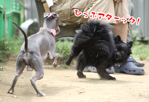 20120524_2183997.jpg