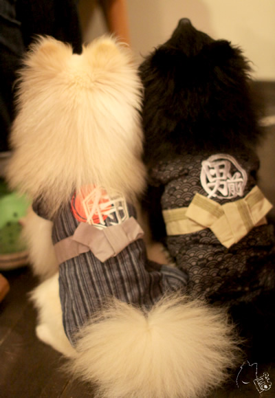 0710_11.jpg