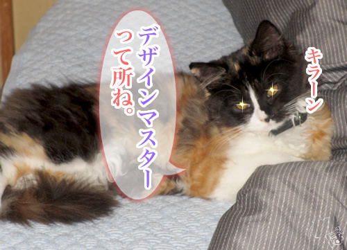 0715_12.jpg