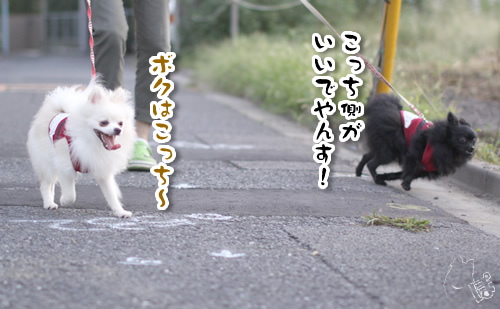 0920_1.jpg