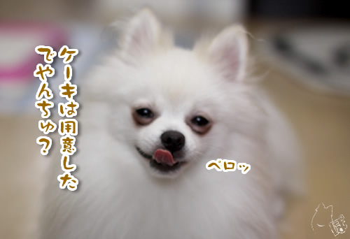 1005_2.jpg