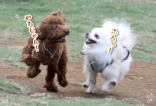 1009_3.jpg