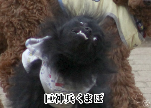 1114_4.jpg