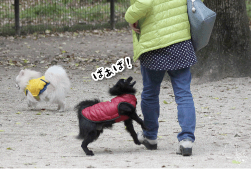 1129_7.gif