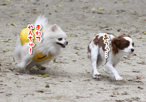 1130_3.jpg