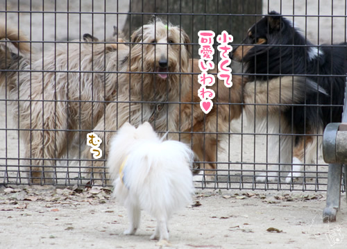 1201_2.jpg