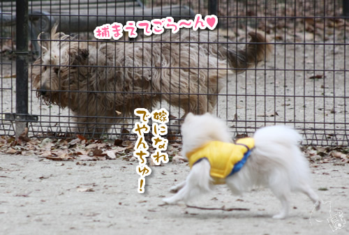 1201_3.jpg
