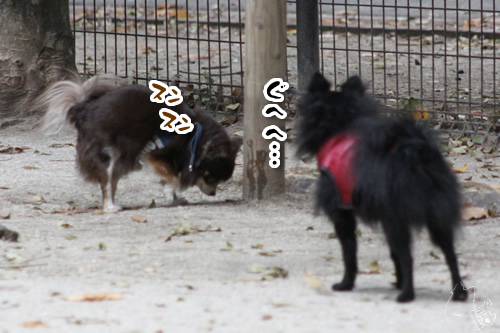 1206_3.jpg
