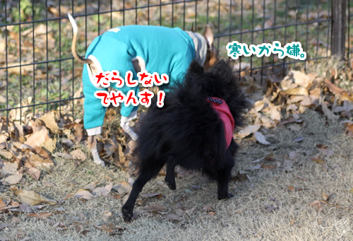 1210_8.jpg