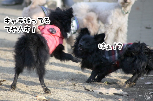 1216_5.jpg