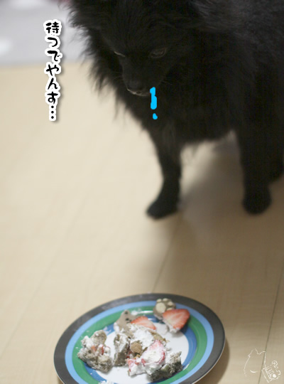 0126_4.jpg