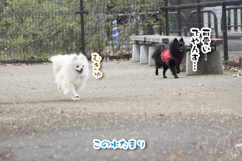 0201_5.jpg