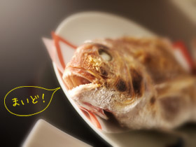 20111120f.jpg