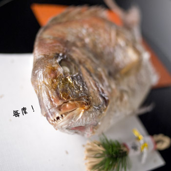 20121114c.jpg