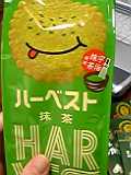 20070320_325096.jpg