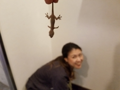 20171007_173855.jpg