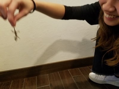 20171007_173817.jpg