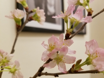 20180220_105102.jpg