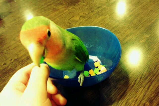 寒い 死んでごめんじゃないでしょうに