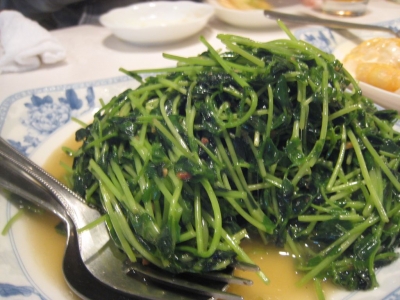 海老専家_豆苗