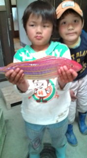 20090503170007.jpg
