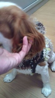 20110527101346.jpg
