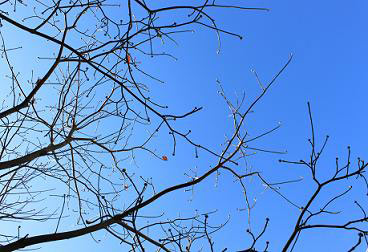 冬の空 空 EOS