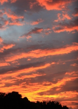 ゆうやけ 空 夕焼け空