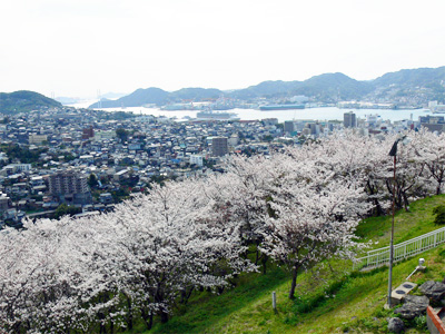 24年春桜南館2階客室より