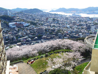 24年春桜南館8階客室より