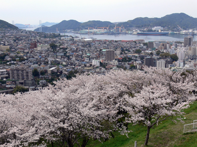 宿からの桜