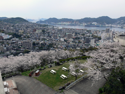 宿からの桜