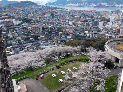 宿からの桜