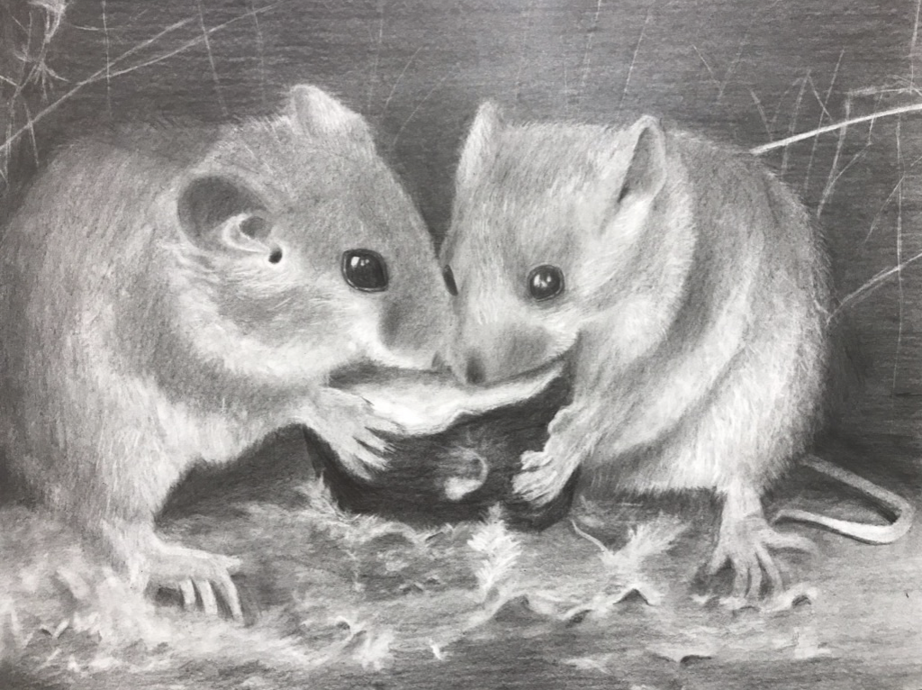 油絵　ネズミ ファンシーラット ドローイング 色鉛筆画 ネズミ ねずみ ミニ