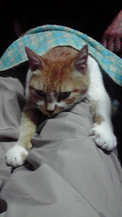 2010040121200000.jpg