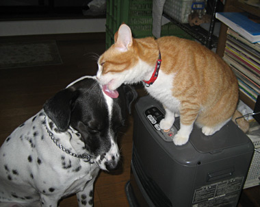 big kiss