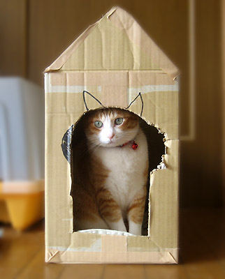 デンちゃんハウス♪